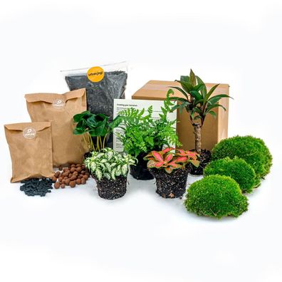 Planten terrarium pakket - Jungle 5 - Coffea - Varen - Palm - Fittonia - Navulling..