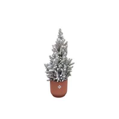 Picea Glauca met sneeuw (kerstboompje) inklusive elho Vibes Fold Round roze | Ø22..