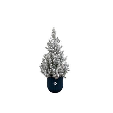 Picea Glauca met sneeuw (kerstboompje) inklusive elho Vibes Fold Round blauw | Ø2..