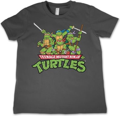 Teenage Mutant Ninja Turtles Teeange Mutant Ninja Turtles Distressed Group Kids T-...