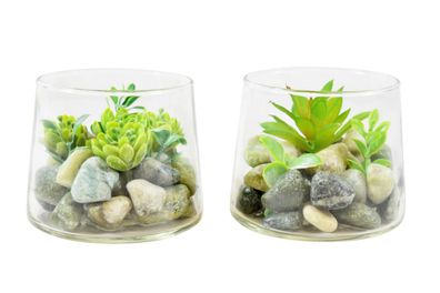 2x Sukkulente mit Steinen im Glas | Kunstblume Blume künstlich Dekoration | 10cm