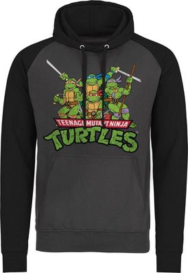 Teenage Mutant Ninja Turtles Turtles Distressed Group Baseball Hoodie Dark-Grey-Black