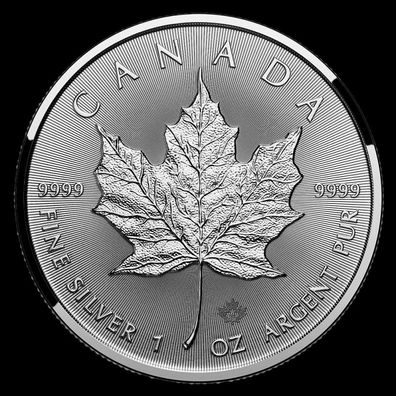 Kanada 1 oz. Unze Silbermünze 999.9 Maple Leaf 2024 ST - NEU in Kapsel