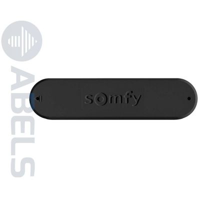 Somfy Eolis 3D WireFree io schwarz Funk-Windsensor (9016354)