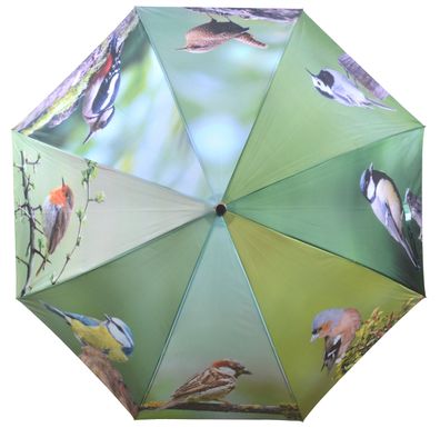 Wunderschöner Regenschirm mit Vogel Motiven, automatischer Öffnungsmechanismus