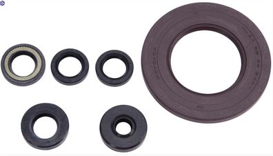 Motorsimmerring-Satz YAM FZR1000 3LE, YZF1000R