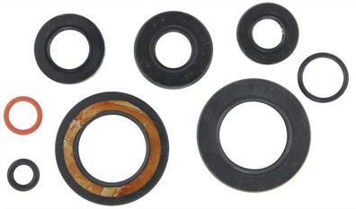 Motorsimmerring-Satz YAM SZR/ XTZ660, XT600E ab 96