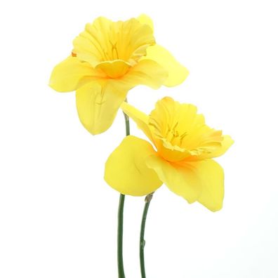 GASPER Trompeten-Narzissen - Osterglocken Gelb 2 Blüten 55 cm - Kunstblumen