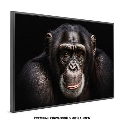 Der Affe Tier Wandbild Premium , Modern Leinwand-Bild mit Rahmen XXL , Home Deko
