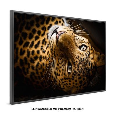 Wandbild Leopard Jaguar Tier , Leinwand-Bild mit Rahmen , DEKO KUNST HOME