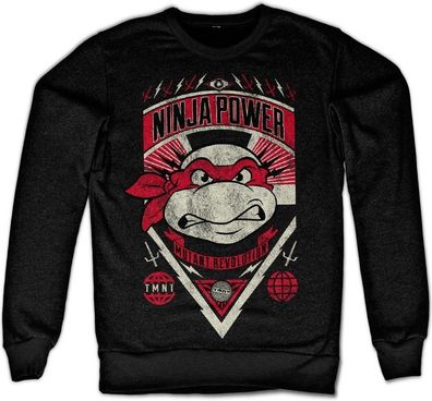 Teenage Mutant Ninja Turtles TMNT Ninja Power Sweatshirt Black