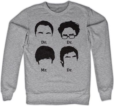 The Big Bang Theory Prefix Heads Sweatshirt Heather-Grey