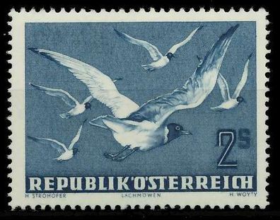 Österreich 1950 Nr 956 postfrisch X1F1816
