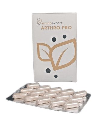 ARTHRO PRO 120 Kapseln Arthro Pro