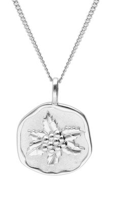 trendor Schmuck Halskette mit Monatsblume Dezember 925 Silber Rhodiniert 68000-12