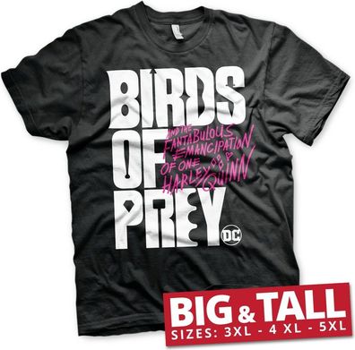 Birds Of Prey Logo Big & Tall Hoodie Black
