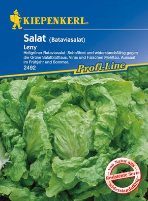 Salat (Bataviasalat) Leny