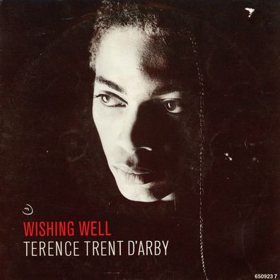 7" Terence Trend D Arby - Wishing Well