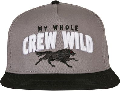Cayler & Sons Crew Wild Cap Grey/ Black