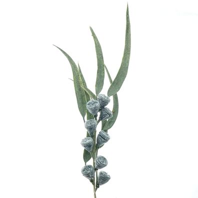 GASPER Eukalyptusfruchtzweig Grau & Grün 40 cm - Kunstblumen