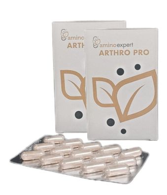 ARTHRO PRO 2x120 Kapseln Arthro Pro