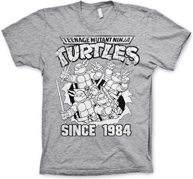 Teenage Mutant Ninja Turtles TMNT Distressed Since 1984 T-Shirt Heather-Grey