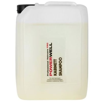 Powerwell Kabinett Shampoo 10 L