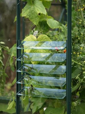 Vitavia Lamellen-Wandfenster aus Aluminium, grün