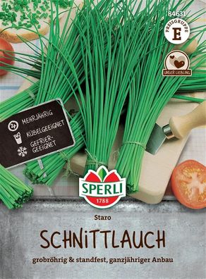 Schnittlauch ''Staro'' grobröhrig, aromatisch mit hohem Vitamin C-Gehalt