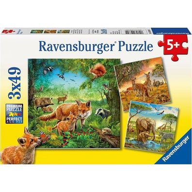 Ravensburger Puzzle Tiere 3x49 Teile