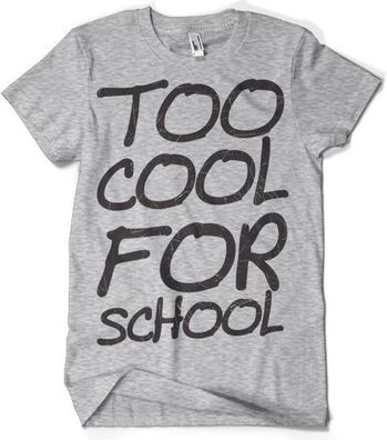 Hybris Too Cool For School T-Shirt Heather-Grey