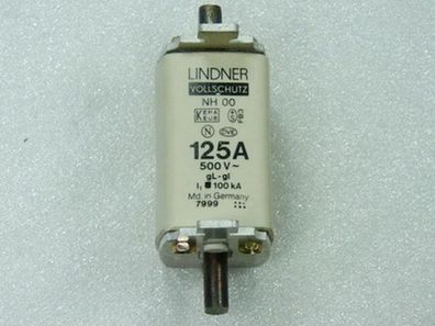 Lindner Vollschutz 125 A NH 00 500 V gl