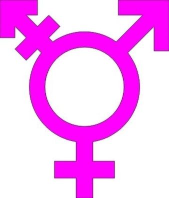Transgender Symbol 10 cm