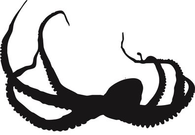 oct11 Octopus Tintenfisch 1 Aufkleber, Wandtattoo Autoaufkleber Türe 20 cm