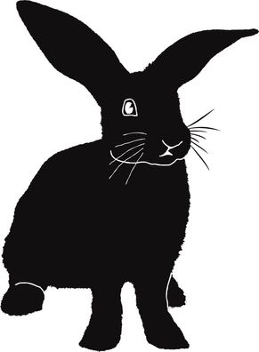 Ha3c Hase Kaninchen 1 Aufkleber, Wandtattoo Autoaufkleber Türe 28 cm
