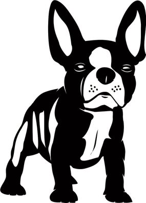 Hu8, 1 Aufkleber Hund Wandtattoo Französische Bulldogge 10 cm