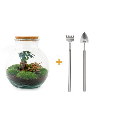 Flaschengarten - Teddy bonsai Rake + Shovel - Ø25cm - 26,5cm - Ökosystem & Terra..