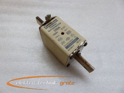 Ferraz Shawmut Lindner NH1 GG50V250 gL/ gG Sicherung 250 A 500 V