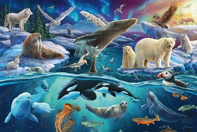 Tiere in der Arktis