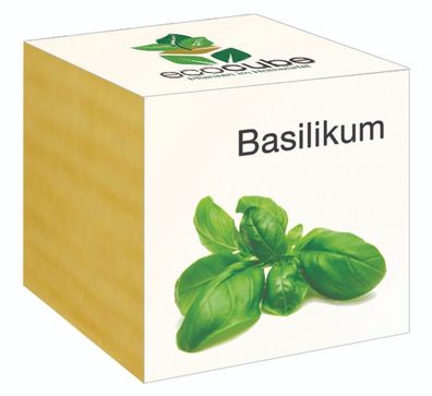 Ecocube Pflanze im Holzwürfel "Basilikum" - Die perfekte Geschenkidee