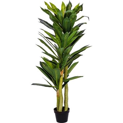 Plantasia® Kunstpflanze Drachenbaum Zimmerpflanze Dekobaum authentisch Kunstbaum