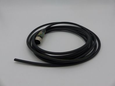 AWM STYLE 20549 80°C 300V Kabel + Balluff Stecker Länge 3,10m