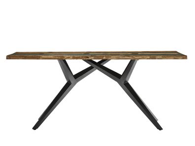 TISCHE & BÄNKE Tisch 240x100 cm Altholz Bunt