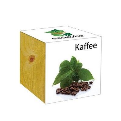 Ecocube Pflanze im Holzwürfel "Kaffee" - Die perfekte Geschenkidee