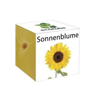 Ecocube Pflanze im Holzwürfel "Sonnenblume" - Die perfekte Geschenkidee