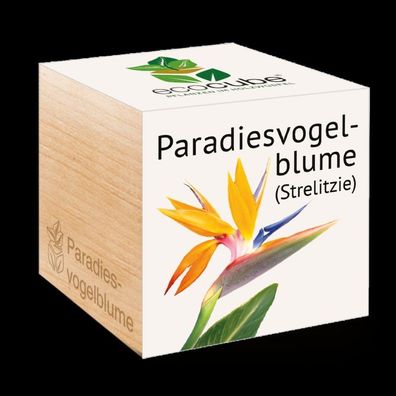 Ecocube Pflanze im Holzwürfel "Paradiesvogelblume" - Die perfekte Geschenkidee
