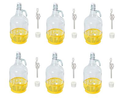 5L Bügelflaschen Weinballon Bügelverschluss Flasche KORB + Stopfen + Gärröhrchen