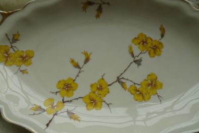 Sorau Carstens Porzellan gelbe Blüte Vase Teller Sauciere Terrine Platten Mimosa