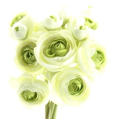 Ranunkel Blütenbündel Grün & Weiß 27 cm 6er Bund - Kunstblumen