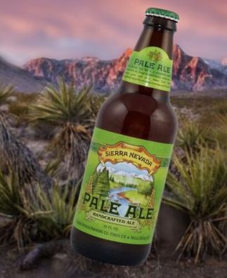 12 Flaschen Sierra Nevada Pale Ale 0,355 l Bier aus den USA